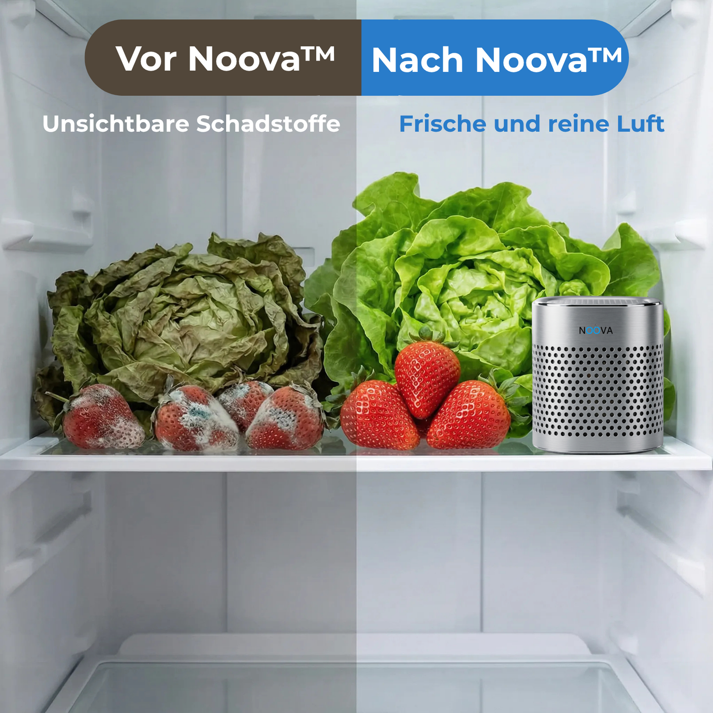 Kühlschrank-Luftreiniger Noova™